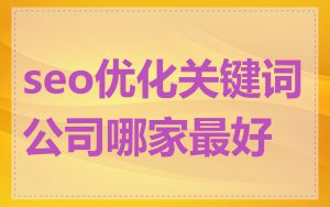 seo优化关键词公司哪家最好
