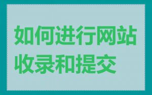 如何进行网站收录和提交