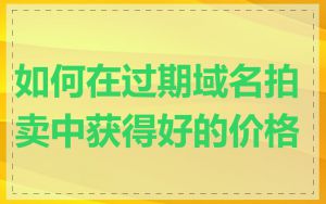如何在过期域名拍卖中获得好的价格