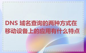 DNS 域名查询的两种方式在移动设备上的应用有什么特点