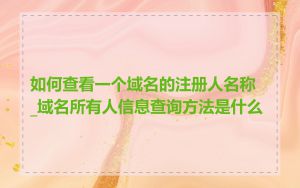 如何查看一个域名的注册人名称_域名所有人信息查询方法是什么