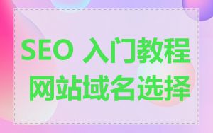 SEO 入门教程 网站域名选择