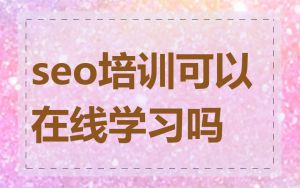 seo培训可以在线学习吗