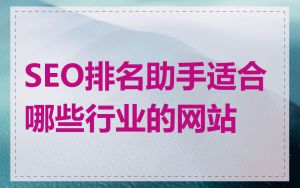 SEO排名助手适合哪些行业的网站
