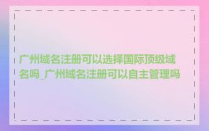 广州域名注册可以选择国际顶级域名吗_广州域名注册可以自主管理吗