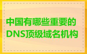 中国有哪些重要的DNS顶级域名机构