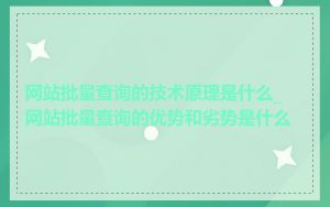 网站批量查询的技术原理是什么_网站批量查询的优势和劣势是什么