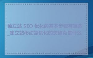 独立站 SEO 优化的基本步骤有哪些_独立站移动端优化的关键点是什么