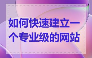 如何快速建立一个专业级的网站