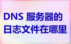 DNS 服务器的日志文件在哪里
