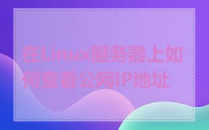 在Linux服务器上如何查看公网IP地址