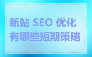 新站 SEO 优化有哪些短期策略