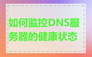 如何监控DNS服务器的健康状态