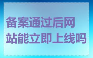备案通过后网站能立即上线吗