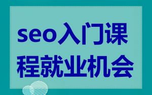 seo入门课程就业机会