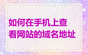 如何在手机上查看网站的域名地址