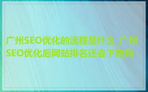 广州SEO优化的流程是什么_广州SEO优化后网站排名还会下跌吗