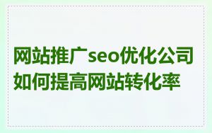 网站推广seo优化公司如何提高网站转化率