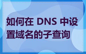 如何在 DNS 中设置域名的子查询