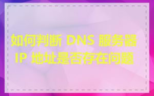 如何判断 DNS 服务器 IP 地址是否存在问题