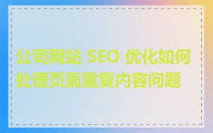 公司网站 SEO 优化如何处理页面重复内容问题