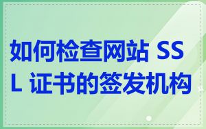 如何检查网站 SSL 证书的签发机构