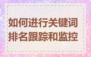 如何进行关键词排名跟踪和监控