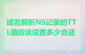 域名解析NS记录的TTL值应该设置多少合适