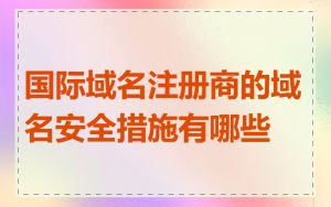 国际域名注册商的域名安全措施有哪些