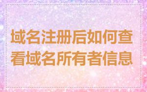 域名注册后如何查看域名所有者信息