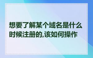 想要了解某个域名是什么时候注册的,该如何操作