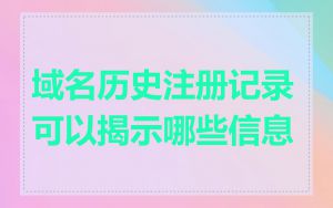 域名历史注册记录可以揭示哪些信息