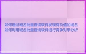 如何通过域名批量查询软件发现有价值的域名_如何利用域名批量查询软件进行竞争对手分析