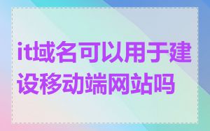 it域名可以用于建设移动端网站吗