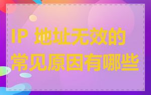 IP 地址无效的常见原因有哪些