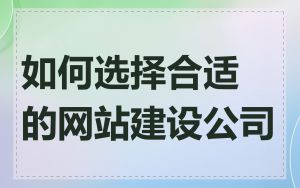 如何选择合适的网站建设公司