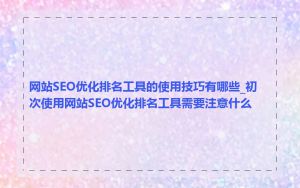 网站SEO优化排名工具的使用技巧有哪些_初次使用网站SEO优化排名工具需要注意什么