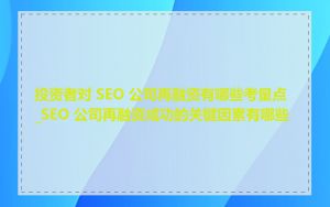投资者对 SEO 公司再融资有哪些考量点_SEO 公司再融资成功的关键因素有哪些