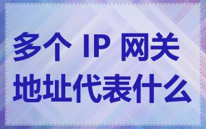 多个 IP 网关地址代表什么
