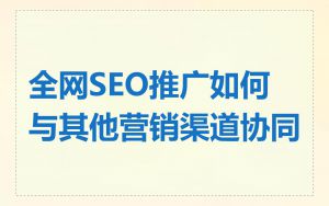 全网SEO推广如何与其他营销渠道协同