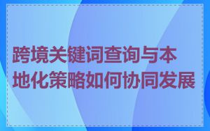 跨境关键词查询与本地化策略如何协同发展