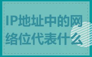IP地址中的网络位代表什么