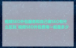 视频SEO外包服务和自己做SEO有什么区别_视频SEO外包费用一般是多少
