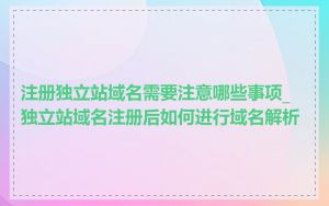 注册独立站域名需要注意哪些事项_独立站域名注册后如何进行域名解析