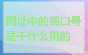 网址中的端口号是干什么用的