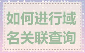 如何进行域名关联查询