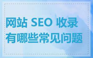 网站 SEO 收录有哪些常见问题
