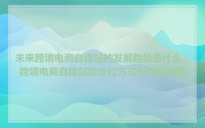 未来跨境电商自建站的发展趋势是什么_跨境电商自建站的支付方式有哪些选择