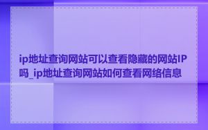 ip地址查询网站可以查看隐藏的网站IP吗_ip地址查询网站如何查看网络信息