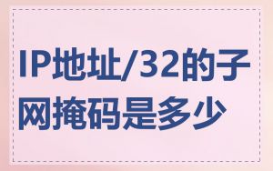IP地址/32的子网掩码是多少